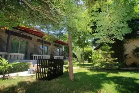 Beck's Resort - 62