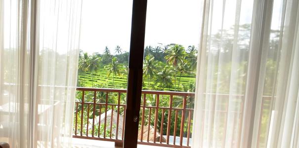 Puri Sebali Resort - 6