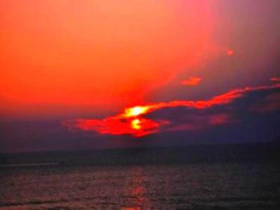 Sai Sea City - 16