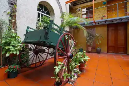 Parada - 14