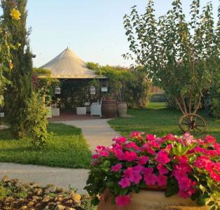 Agriturismo Torre Flavia - 12