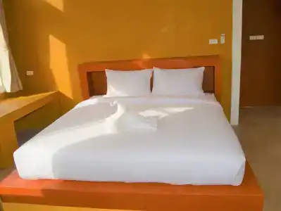 World Cat Resort - 1