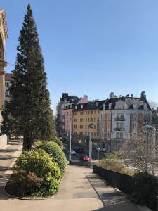 Royal Zurich - 23