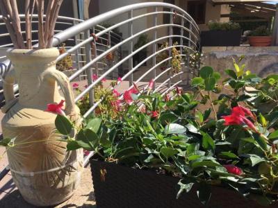 Bed & Breakfast Giardini Di Marzo - 9