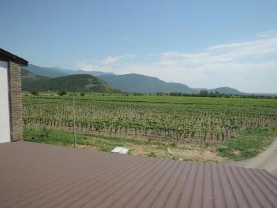 Shaloshvili's Cellar - 6