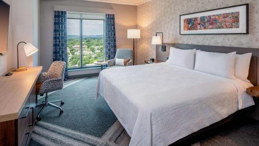 Hilton Garden Inn Austin University Capitol District, Tx - 6