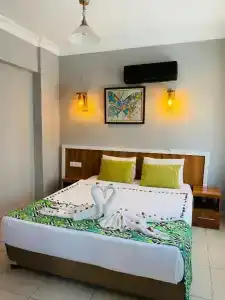 Kleopatra Coral Apart - 37