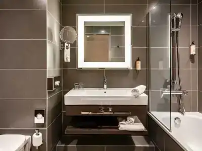 Mercure Clermont Ferrand centre Jaude - 54