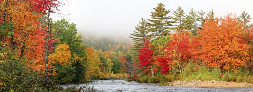 RiverWalk at Loon Mountain - 17
