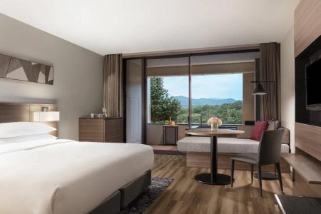 Izu Marriott Shuzenji - 100