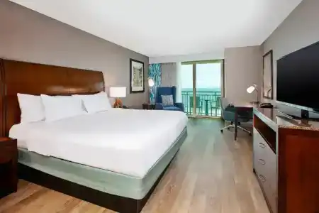 Hilton Garden Inn Virginia Beach Oceanfront - 48
