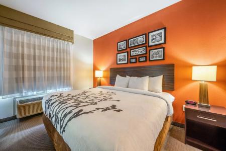 Restwell Inn & Suites I-45 North - 16