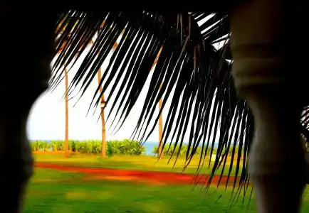 Vgp Golden Beach Resort - 4