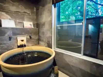 Livemax Resort Hakone Ashinoko - 34