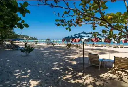 The Title Residencies Naiyang By Trips Phuket - Sha Certified - 16