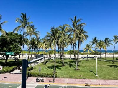 Majestic South Beach - 14