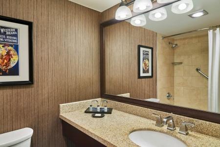 Sheraton North Houston at George Bush Intercontinental - 36