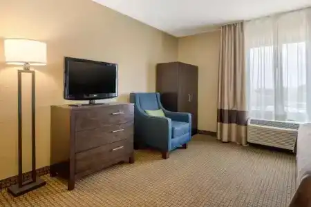 Comfort Inn 290/Nw - 71