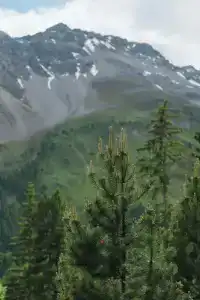 Valsana Arosa - 83