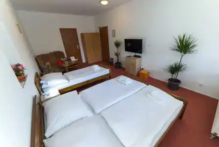 Penzion Na Špičáku - 5