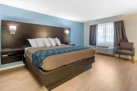 Quality Inn & Suites - 33