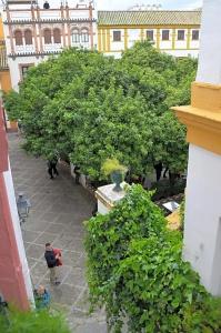 Doña Lina - 50