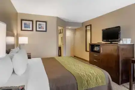 Comfort Inn 290/Nw - 35
