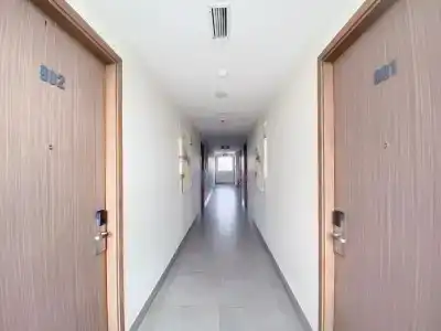 The Luxe - 2