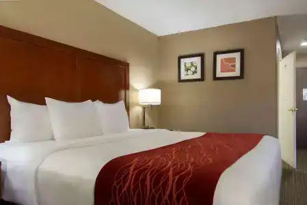Comfort Inn Santa Fe - 3