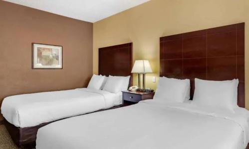 Comfort Inn & Suites - 40