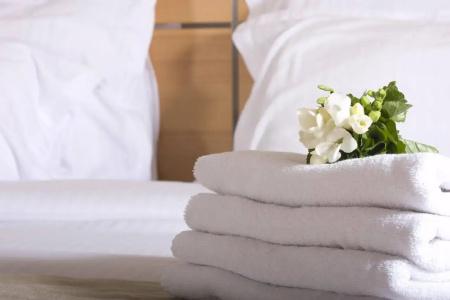Swiss-Belinn - 14