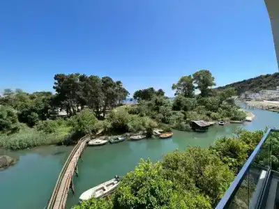 Cungu - 35