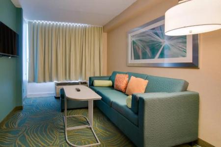 SpringHill Suites by Marriott Orlando Lake Buena Vista South - 28
