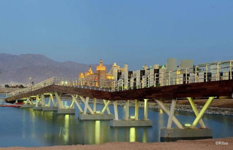 Brown Eilat a member of Browns - 42