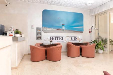 Gin - 1
