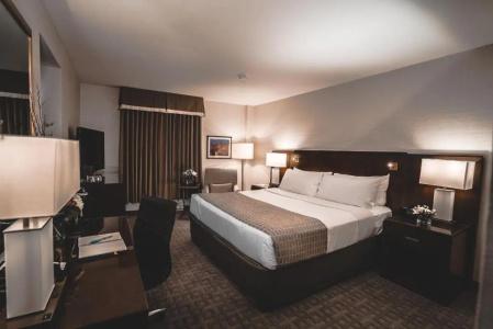 Lord Elgin - 31
