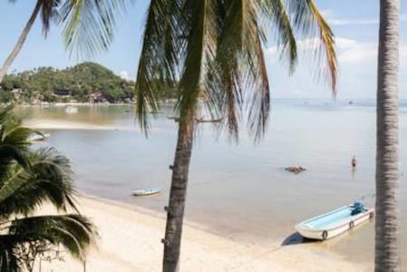 Carabao Dive Resort - 12