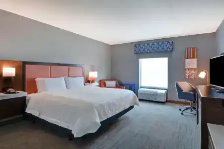 Hampton Inn & Suites/St. Petersburg-Ulmerton Road - 44