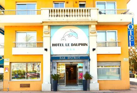 Hôtel Le Dauphin - 29