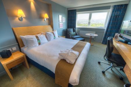 Holiday Inn Edinburgh Zoo, An Ihg - 31