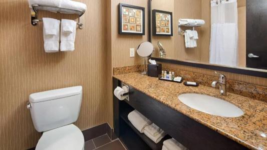Best Western Premier Freeport Inn Airport - 71