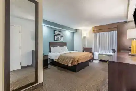 Quality Inn - 1