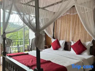 The Ella Nature Life Guest Inn - 32