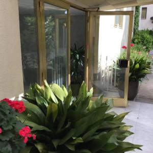 An Der Wien - 29