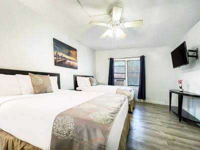 The Palms - 6