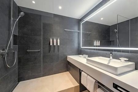 Swissotel Le Plaza Basel City - 75