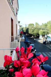Santa Caterina - 8