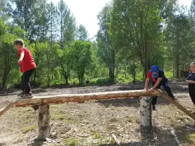 Таёжник - 17