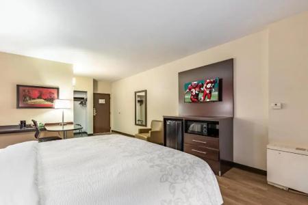 Red Roof Inn Plus+ & Suites Houston – Iah Airport Sw - 35