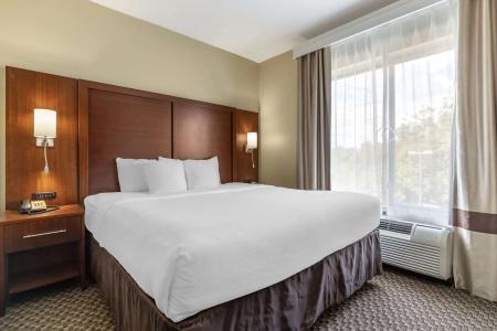 Comfort Suites Medical Center Near Six Flags - 48